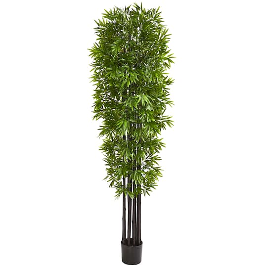 7ft. Potted Bamboo Tree with Black Trunks